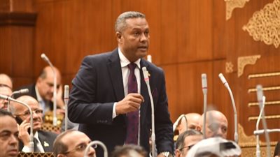 برلماني يطالب بتحديد أسعار السماد حتى يصل الدعم لصغار المزارعين