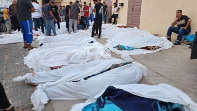 عائلات بأكملها اختفت.. إسرائيل تسعي لمحو  جذور فلسطين
