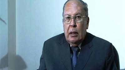 دبلوماسي سابق: تهجير  سكان قطاع غزة لأرض سيناء مخطط مرفوض تحت أي مسمى