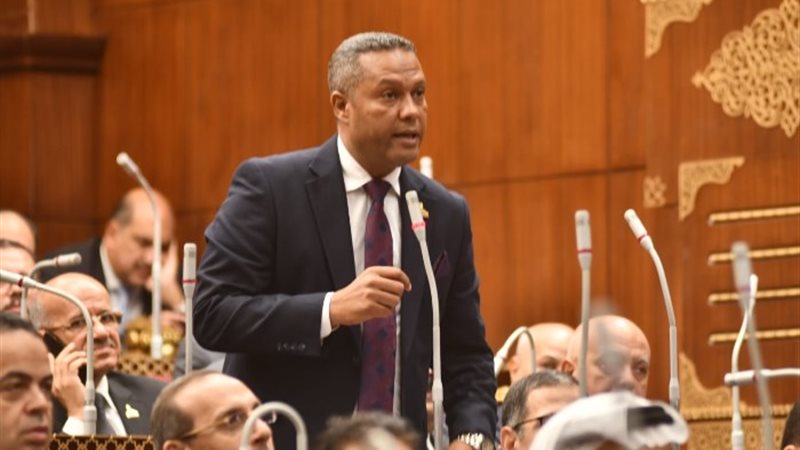 النائب محمد حمزه عضو مجلس الشيوخ