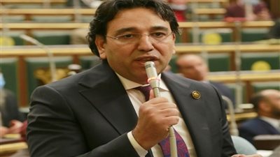أيمن محسب: جرائم الاحتلال الإسرائيلي ستؤثر سلبًا على الأمن والسلم العالمي