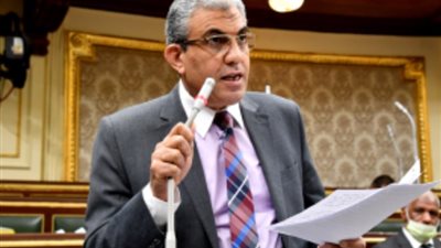 برلماني: الدولة المصرية تبذل جهودا كبيرة لدعم الأشقاء بفلسطين