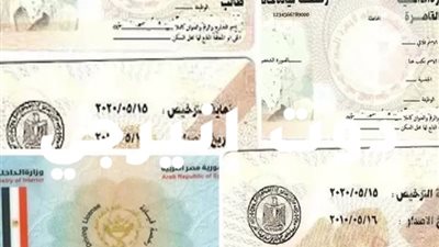 «الجمهور» يقدم لمالكى السيارات دليل تجديد الرخصة