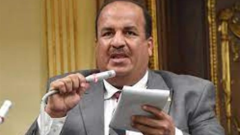 النائب محمد عبد الحميد