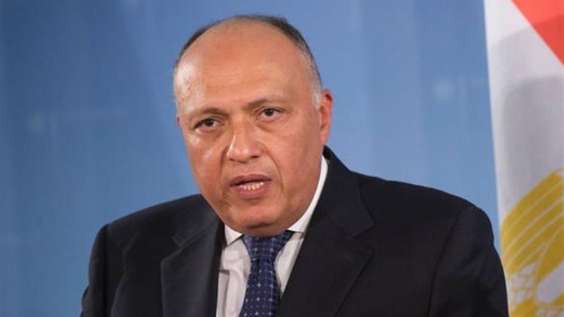 سامح شكرى