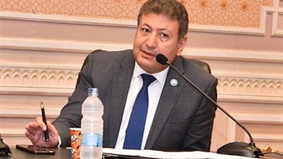 برلماني: الإعفاء الضريبي هو المحرك الأول للصناعة في مصر .. فيديو