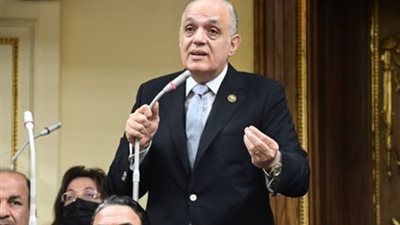 رئيس «مشروعات النواب» ينتقد عدم تفعيل دعم المشروعات الصغيرة واقعياً