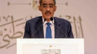 ضياء رشوان: مصر سيادتها على أرضها بيدها والشعب الفلسطيني يرفض التهجير