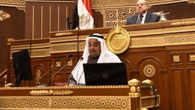 عضو بـ«الشيوخ»: لن نسمح بالتعدي على سيناء ونرفض تهجير شعب فلسطين