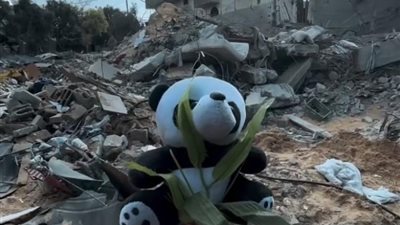 أبرياء تحت الأنقاض.. فلسطيني يوثق لحظات سيره في منزله بعد تدميره