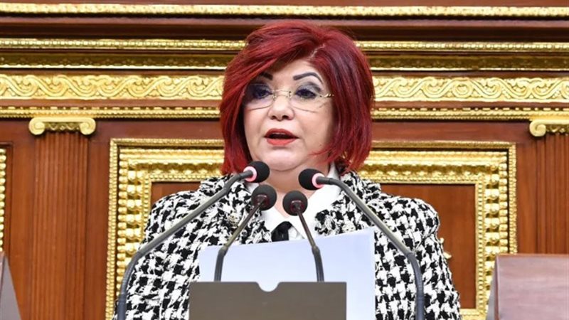 النائبة نورا على