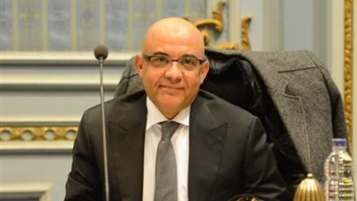 عمرو هندي: مصر تلعب دورًا غير مسبوق لتقديم سبل الدعم للشعب الفلسطيني