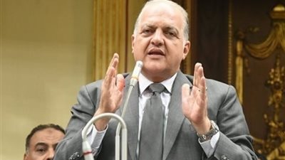 رئيس طاقة النواب: مصر دائمًا تحمل دورًا تاريخيًا في القضية الفلسطينية