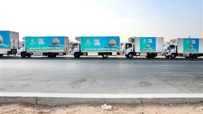 «حياة كريمة» تقود الجهود الإنسانية لدعم الأشقاء فى غزة