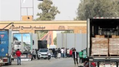 مصر تجهز 50 شاحنة مساعدات إنسانية لقطاع غزة