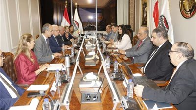 ‬ وزيرا قطاع الأعمال والاتصالات يتابعان مشروع تخطيط الموارد والتحول الرقمي