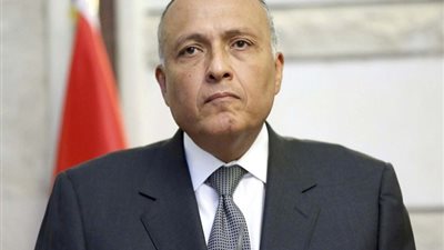 سامح شكري يطالب بالهدنة الفورية ويؤكد على حل الدولتين
