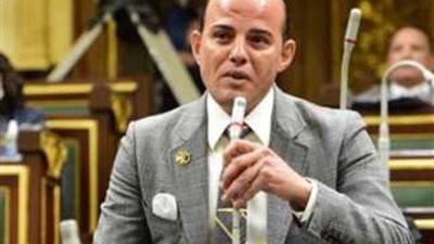 النائب عمرو القطامي: مصر تتحرك في كل الاتجاهات لدعم القضية الفلسطينية