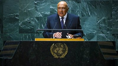 وزير الخارجية يبحث مع نظيريه التركي والأردني الأوضاع في قطاع غزة