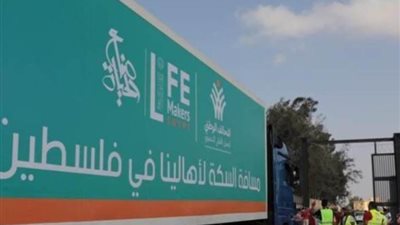 دخول 15 شاحنة مساعدات إلى فلسطين من معبر رفح