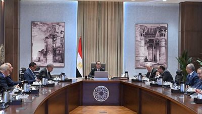 رئيس الوزراء يتابع مع  8 مسئولين بالحكومة تنفيذ مبادرة تخفيض الأسعار