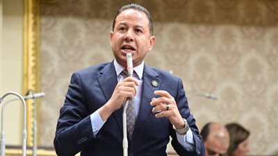 برلماني: مستشفيات مصر جاهزة لاستقبال جميع المصابين وليس مرضى السرطان فقط