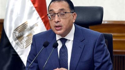 أحدهم يعمل بهيئة معادية.. مصر تسقط الجنسية عن 3 منهم أجنبية ولدت بإسرائيل