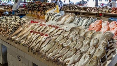 أسعار الأسماك اليوم الأربعاء 8-11-2023 في الأسواق
