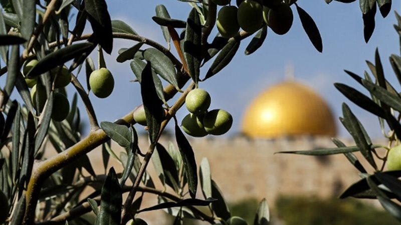 القدس