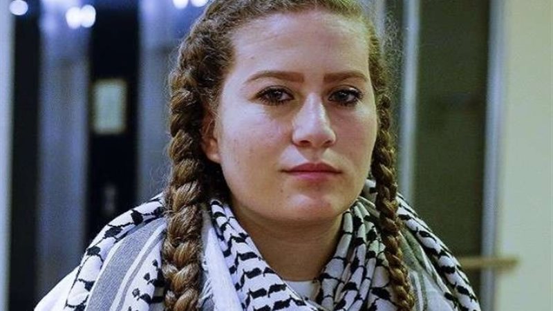 عهد التميمي