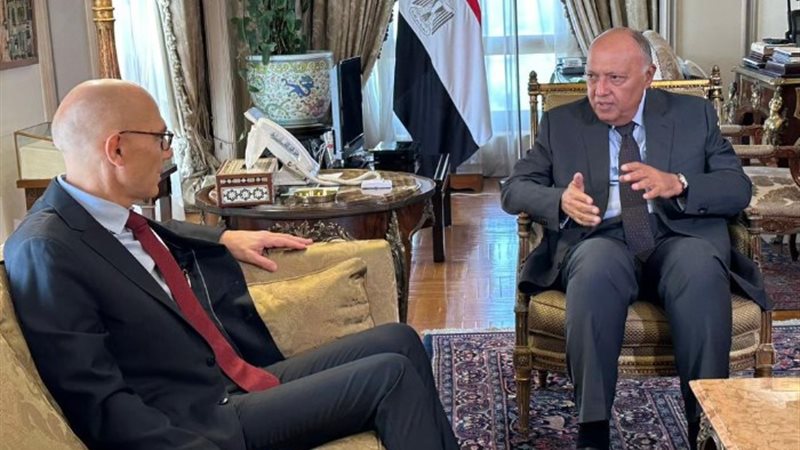 وزير الخارجية سامح شكري