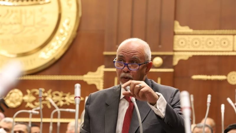 النائب حازم الجندي