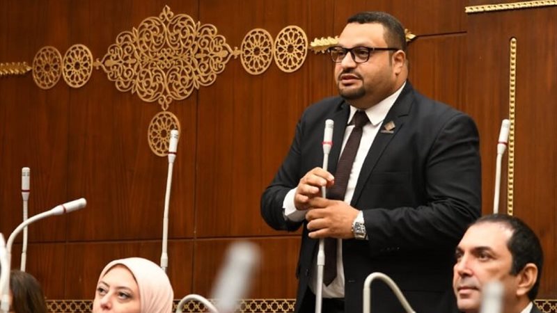 النائب أحمد القناوي عضو مجلس الشيوخ