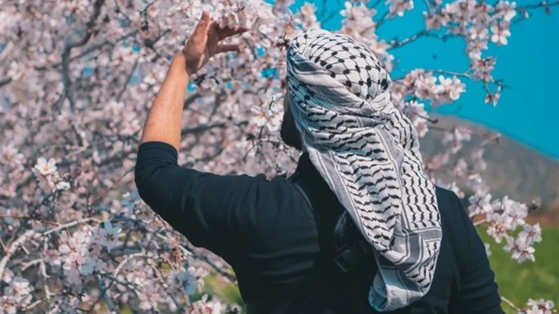 الشال الفلسطينى