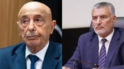 من القاهرة.. رئيسا النواب والأعلى للدولة يبحثان تطورات الوضع فى ليبيا