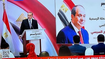 منسق حملة «السيسي»: هناك خط فاصل بين الأنشطة الحكومية والحملة الانتخابية