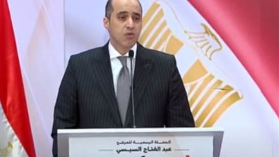 المستشار محمود فوزي: الرئيس السيسي هو وزير المرأة