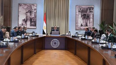رئيس الوزراء يستعرض دراسة بشأن التحول نحو تقنيات الوقود النظيف