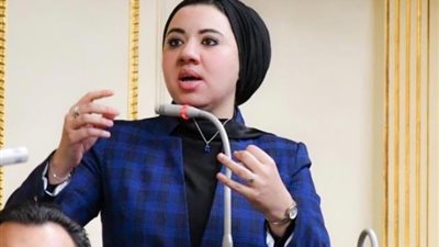 متحدثة حملة فريد زهران: «فقدنا الكثير من الحماس بسبب أحداث غزة»