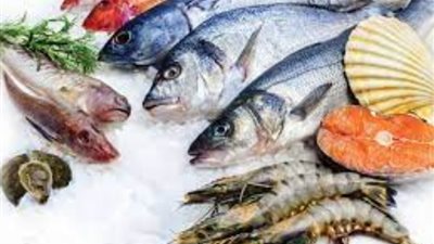 أسعار الأسماك اليوم السبت 11-11-2023 في الأسواق