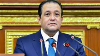 علاء عابد: مشاركة السيسي بالقمة العربية تؤكد حرصه لدعم القضية الفلسطينية