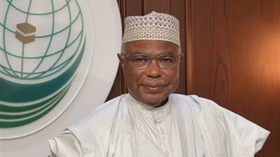 منظمة العالم الإسلامي تطالب باستدامة إدخال المساعدات إلى قطاع غزة