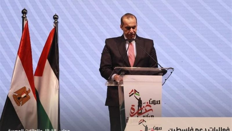 المستشار محمود فوزي