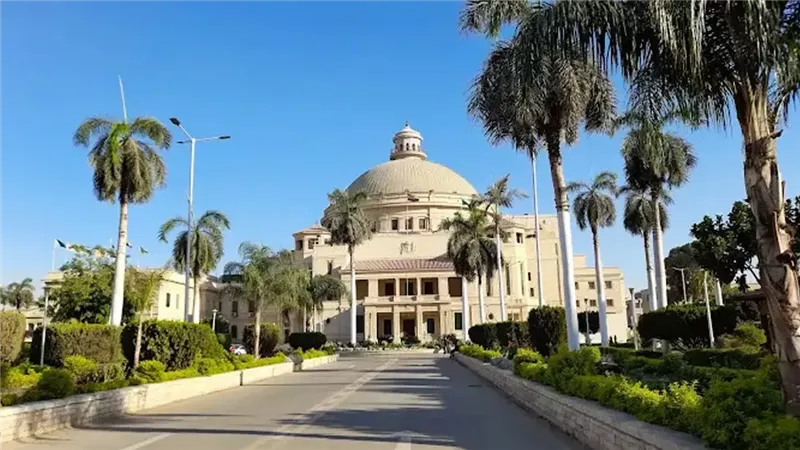 جامعة القاهرة 