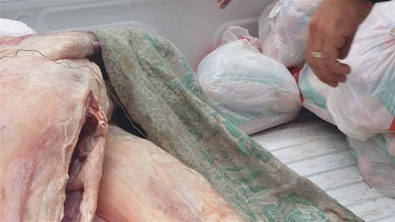 ضبط 14 طن مصنعات ومقطعات لحوم بالجيزة