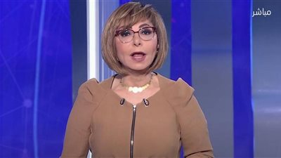 لميس الحديدي: مصر تطلب وقف إطلاق النار لمدة 10 سنوات في غزة
