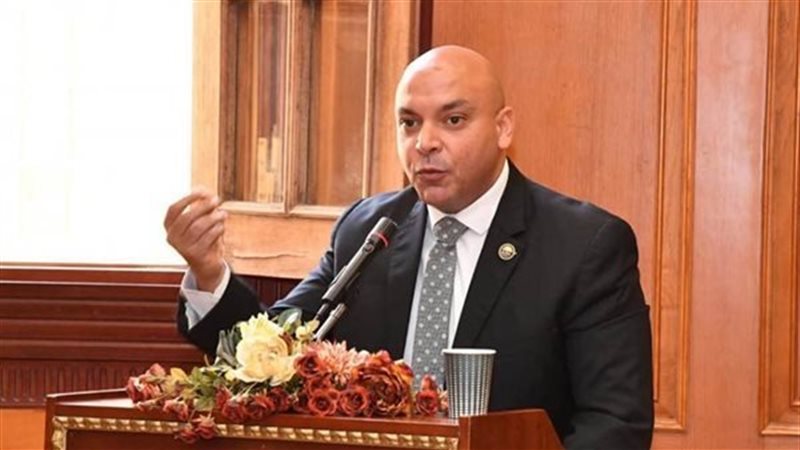 النائب محمود القط 