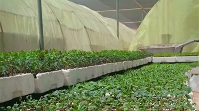التنمية الشاملة وأجندة الأمم المتحدة 2030..التزام مصر بتحقيق الاستدامة على جميع الأصعدة