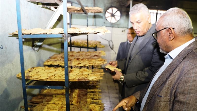 محافظ اسوان