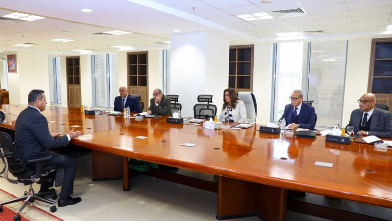 التنمية المحلية 